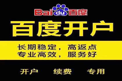 百度SEM广告投放的创意与执行：成功案例详解